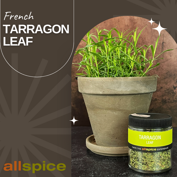 Spotlight Spice: Tarragon Leaf