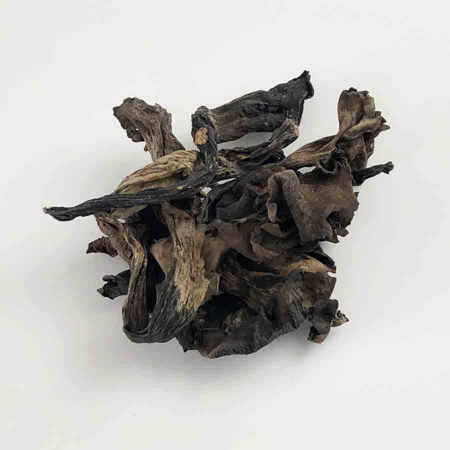 Black Trumpet Mushrooms 1 oz bag