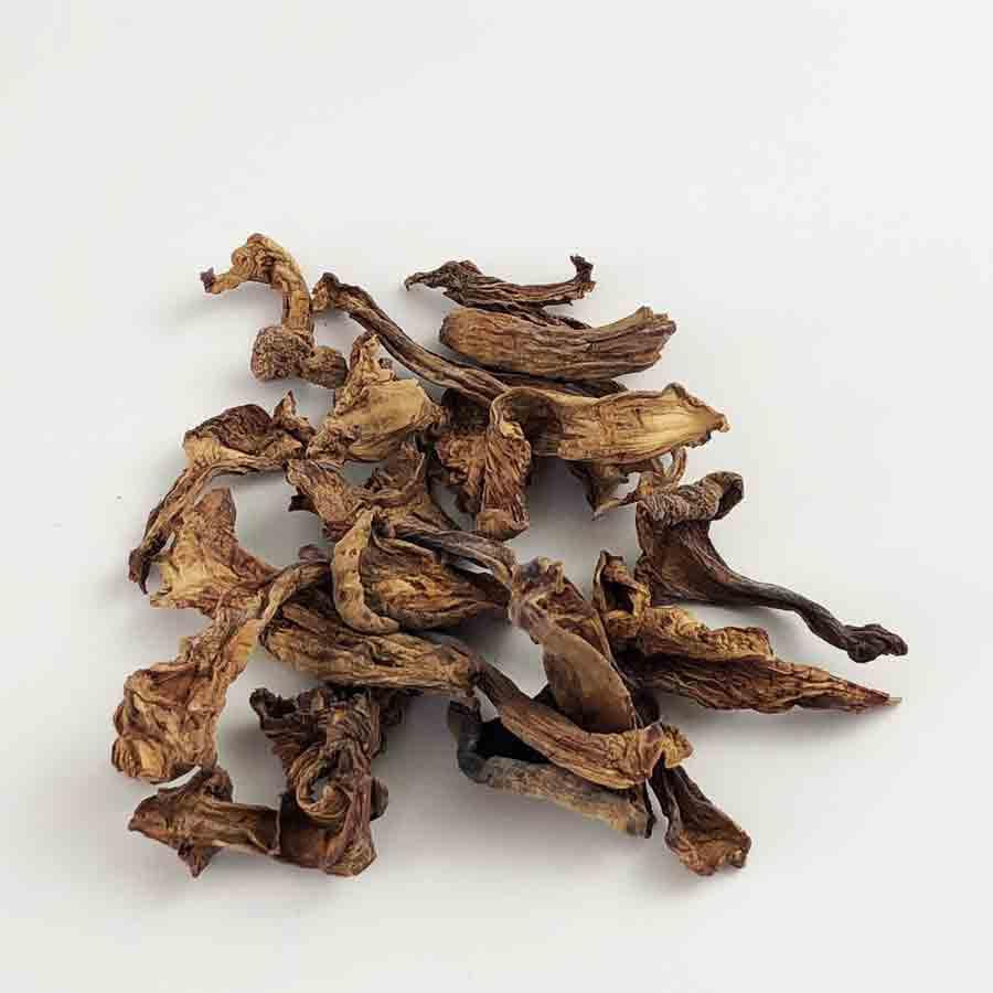 Chanterelle Mushrooms 1 oz bag