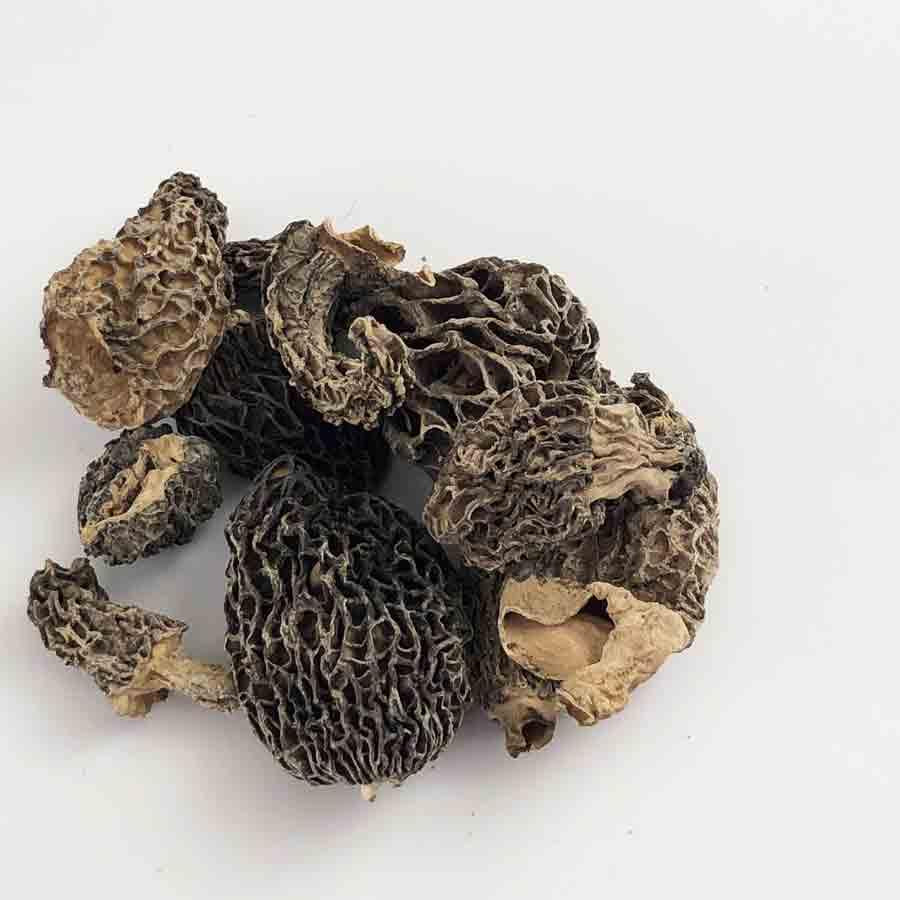 Morel Mushrooms 1 oz bag