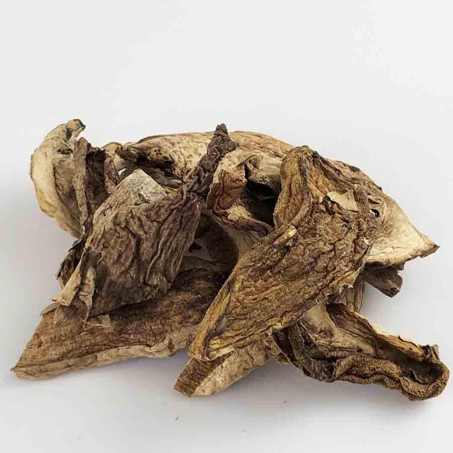 Porcini Mushrooms 1 oz bag